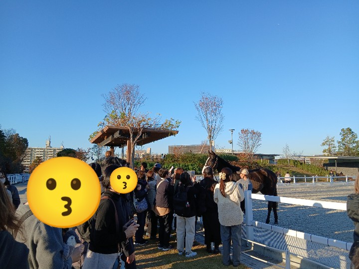 ranmaru_oj's tweet photo. 今日は馬事公苑へ。
晴天で行われたRRC
今年は平常心で競技を観れました🙆
全人馬、とっても頑張っていました😊
おつかれさまでした🙌
ずっと元気でいてね😌
#RRCファイナル
#引退競走馬杯
#OFJ https://t.co/dZnZ5iS1n3