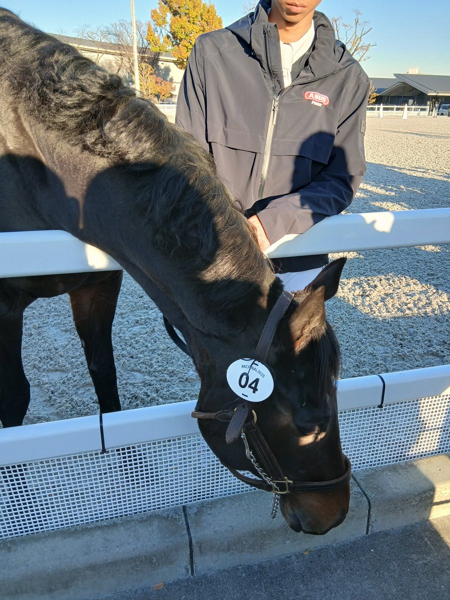 ranmaru_oj's tweet photo. 今日は馬事公苑へ。
晴天で行われたRRC
今年は平常心で競技を観れました🙆
全人馬、とっても頑張っていました😊
おつかれさまでした🙌
ずっと元気でいてね😌
#RRCファイナル
#引退競走馬杯
#OFJ https://t.co/dZnZ5iS1n3