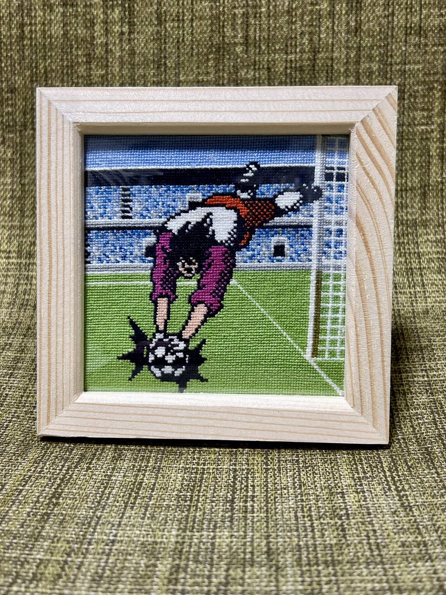 さんご🐼 tweet media