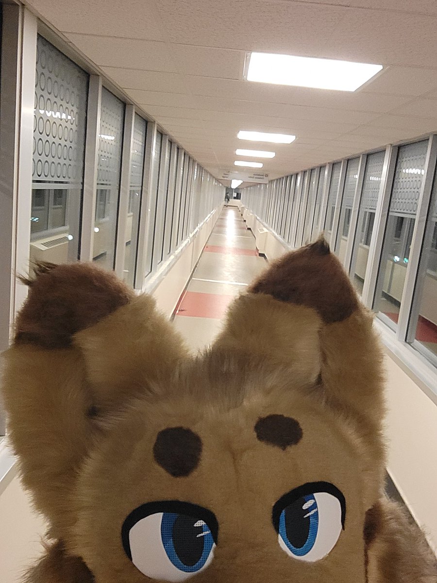 Tuftyboi's tweet image. MFF moment