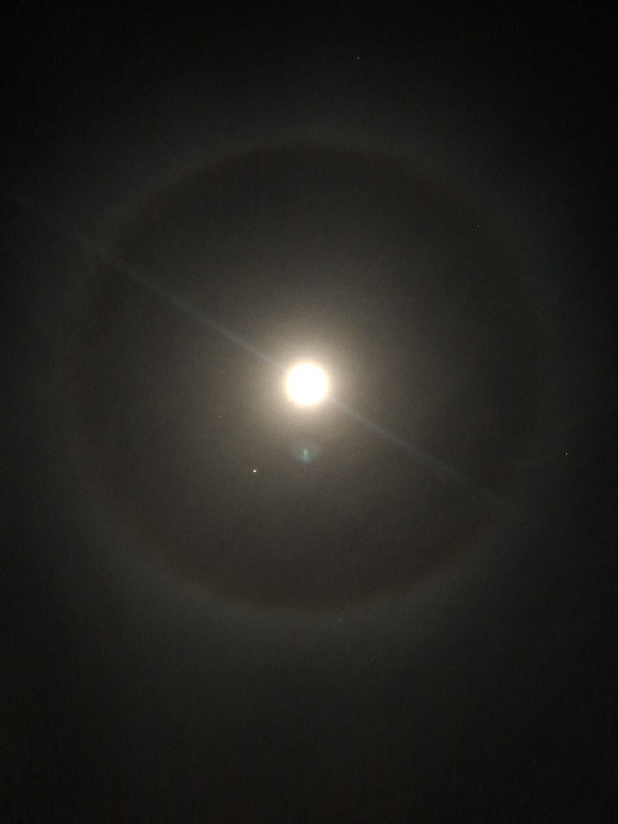 Moon had a halo last night. Thought it looked really beautiful.