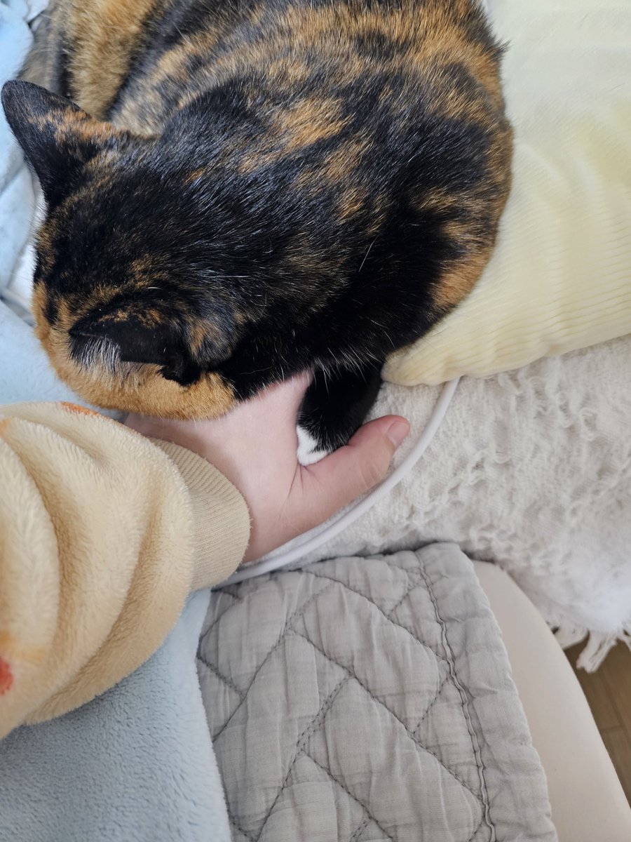 손 잡은 채로 주무심