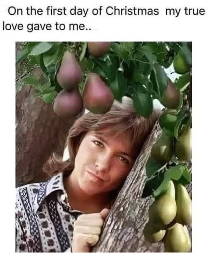 IYKYK 🎶 😉 #MerryChristmas 🎅🎄