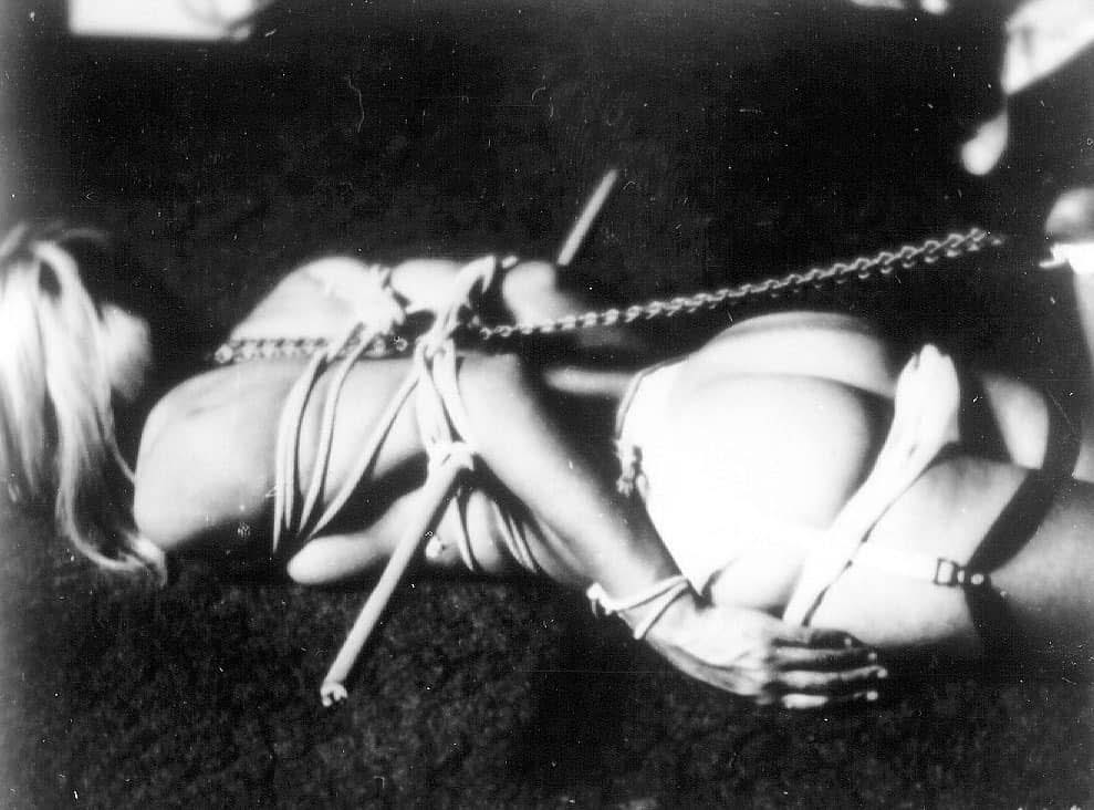 🔞 tweet media
