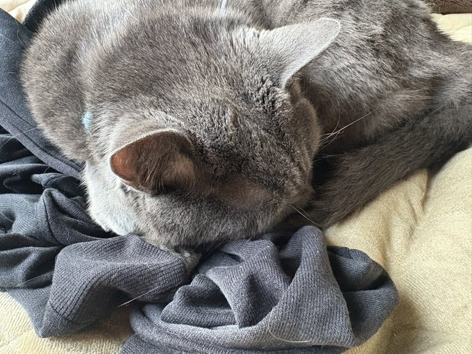 寝巻き返してクレメンス 