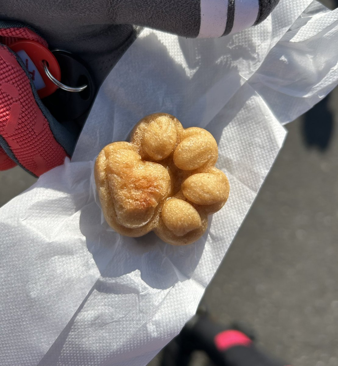 ひろむ ひろむ🖥️🐍🎮 (@hiromusan_1127) / Posts / X