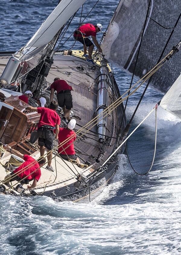 Delight Moments (@delightmoments_) on Twitter photo 