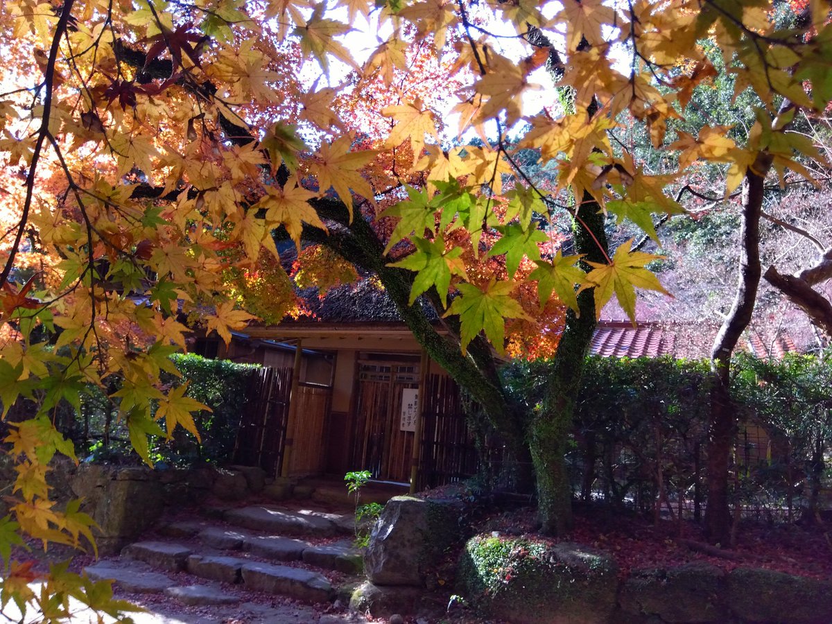 熊吉 (@1925kumakiti) / Posts / X