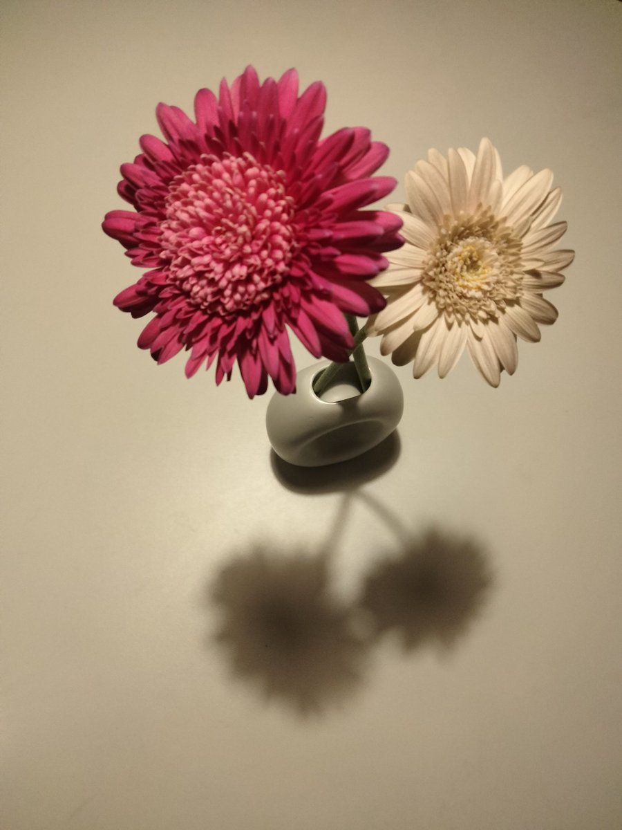 クリスマスムードの自宅を拠点に

ランニング
学校宿題
英語予習
ピアノ練習
習い事×2
歯科矯正治療
Switch
大人と夜会🍻🍷

週末ぎゅっとスケジュールを詰め込んで、持てる時間と体力を全て注ぎ込んで

1日の終わりは気絶したように眠る娘

そんな全力少女と過ごす年末年始が今から楽しみ