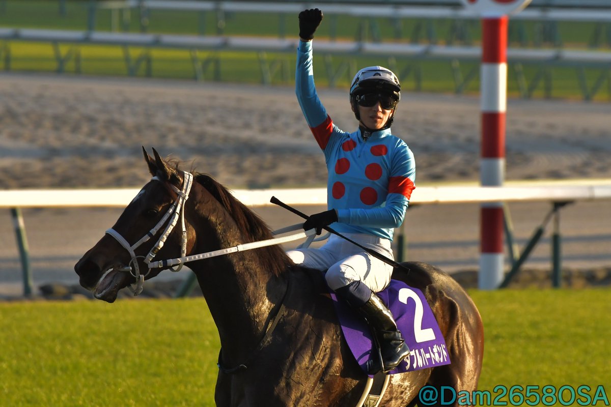 りゅーせー3連覇!!!! 2025.12.07. 中京11R #チャンピオンズカップ