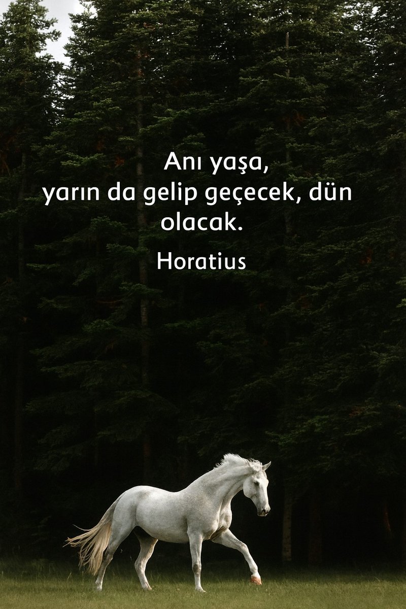 Kitap Alıntısı tweet media