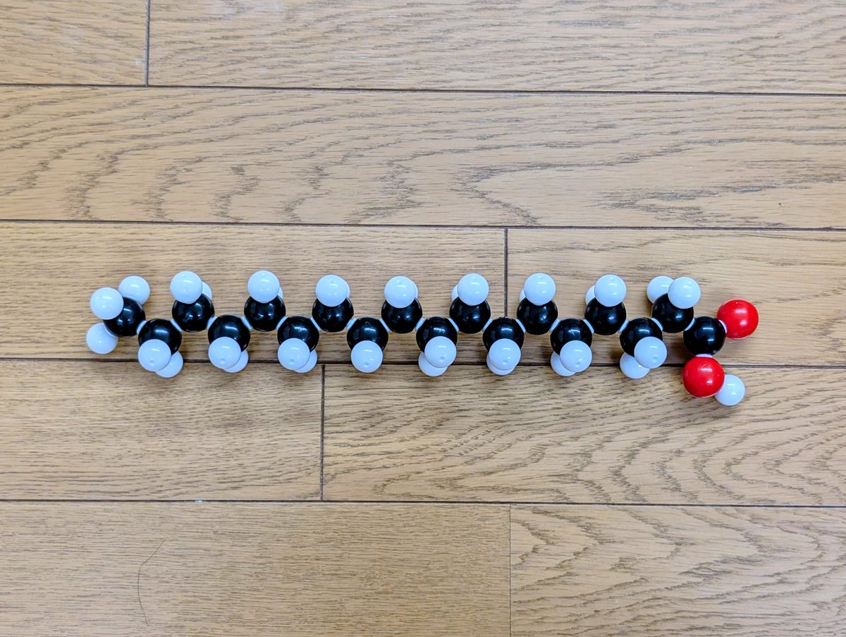 Periodic_apt's tweet photo. SinOrgの補充パーツの10mmジョイントが届いたので、
早速ステアリン酸を組んでみた。
うわ〜可��い❤️
#分子模型
#SinOrg
#ステアリン酸 https://t.co/jaU2MjgEt0