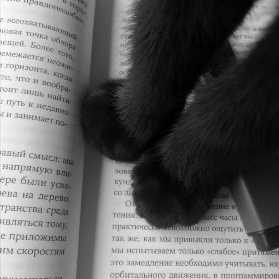 GaaBsNotes's tweet image. 