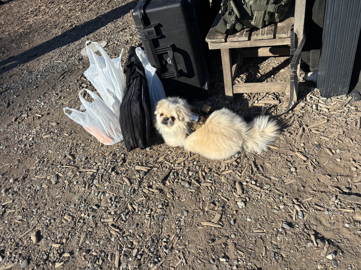 ゆっこ (@ykyk869) / Posts / X