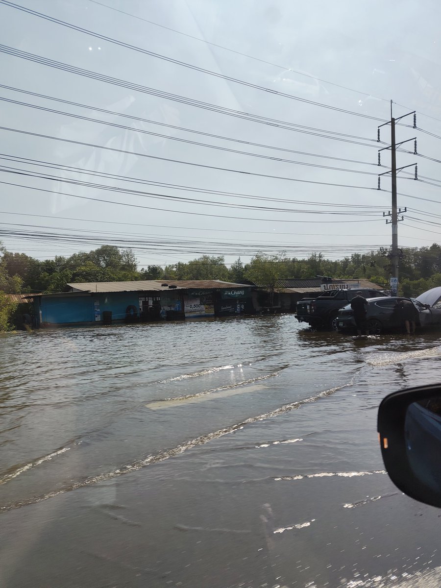 Scotty Scott - ตาล tweet media