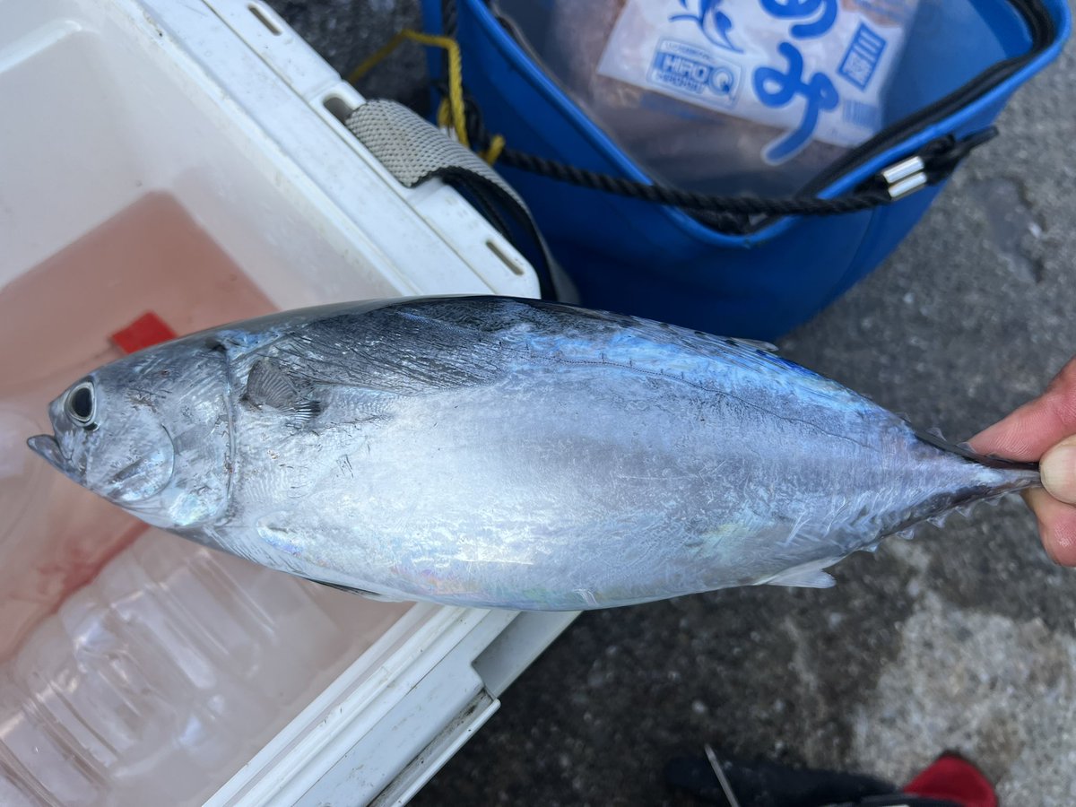 田舎の者mo-chan (@moss0782ga) / Posts / X