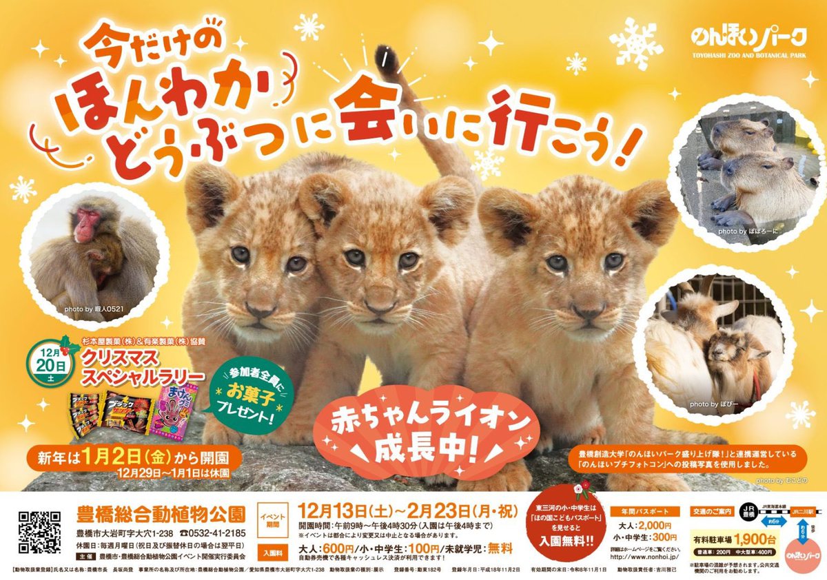 しばライオンページ 詳しくは下記公式ホームページをご覧ください！🐘