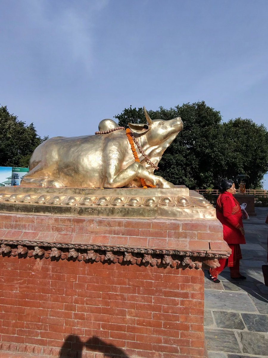 Aakash Chopra tweet media