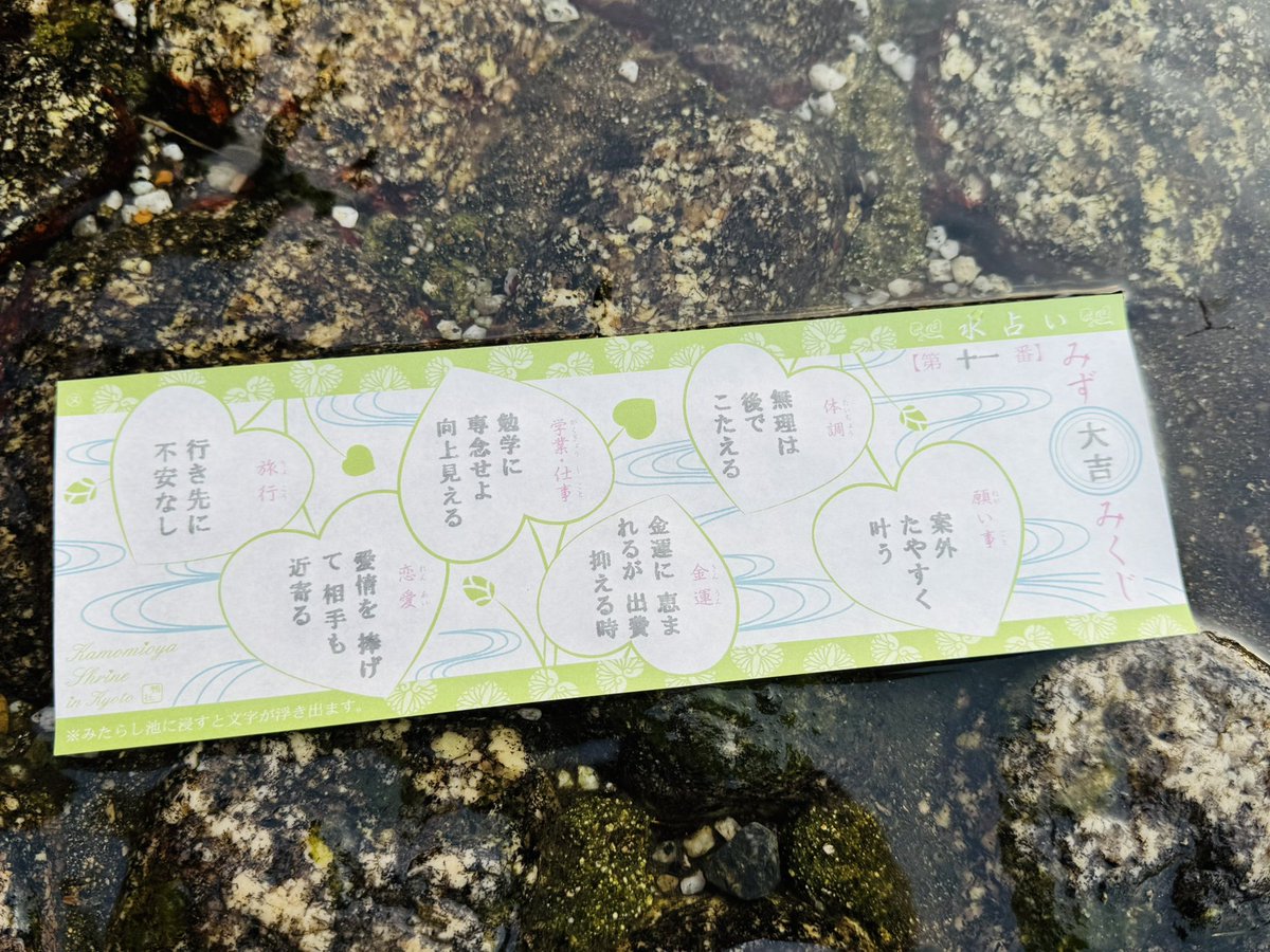 大吉☺️
「願い事：案外たやすく叶う」って書いてるので、M78ウルトラマンふわふわお座りぬいぐるみアーリートレギアがやってくる日も近いはず