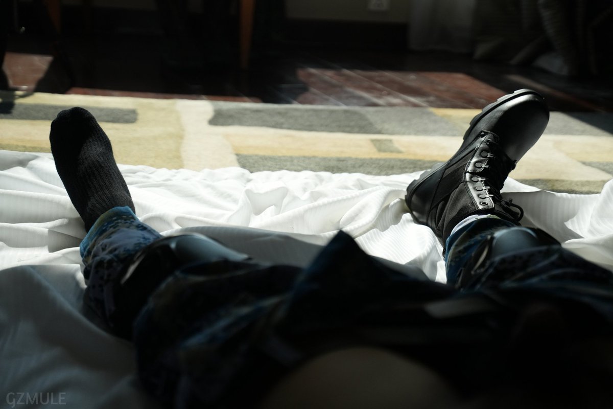 那个骡子 tweet media