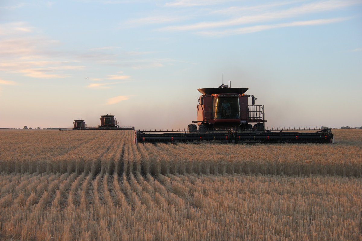 🧰 It’s the little checks that keep harvest safe.
A quick header clean-down before lunch, bearing checks between paddocks, extinguishers topped up and in reach — small habits that help protect our machines and each other.
 We’re all in this together. 
#Harvest2025 #CommunityInAg