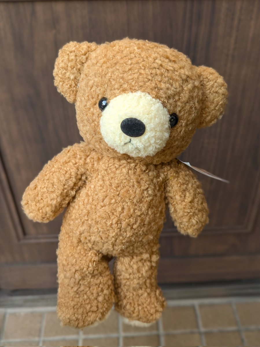 ぬいぐるみの童心【公式】🥺 (@Dousin_kawaii) / Posts / X