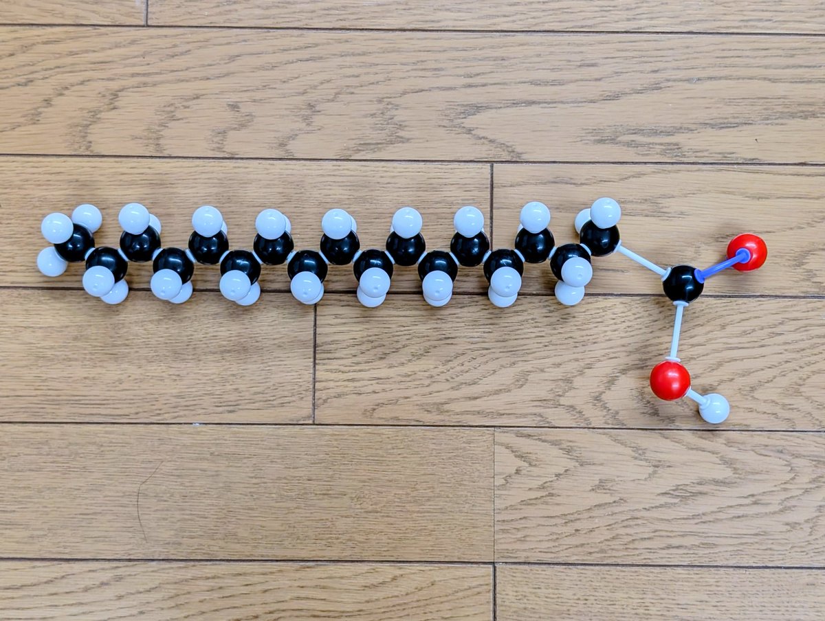 Periodic_apt's tweet photo. そしてSinOrgの凄いところは、ジョイントの交換でひとつの分子模型で半空間充填モデルと球棒モデルの両方を表現できるところ。
ステアリン酸のメチレン基の繰り返し部分を半空間充填モデル、カルボキシル基を球棒モデルにすることで、カルボキシがより鮮明になる。
#分子模型
#SinOrg
#ステアリン酸 https://t.co/HprwnUi85R