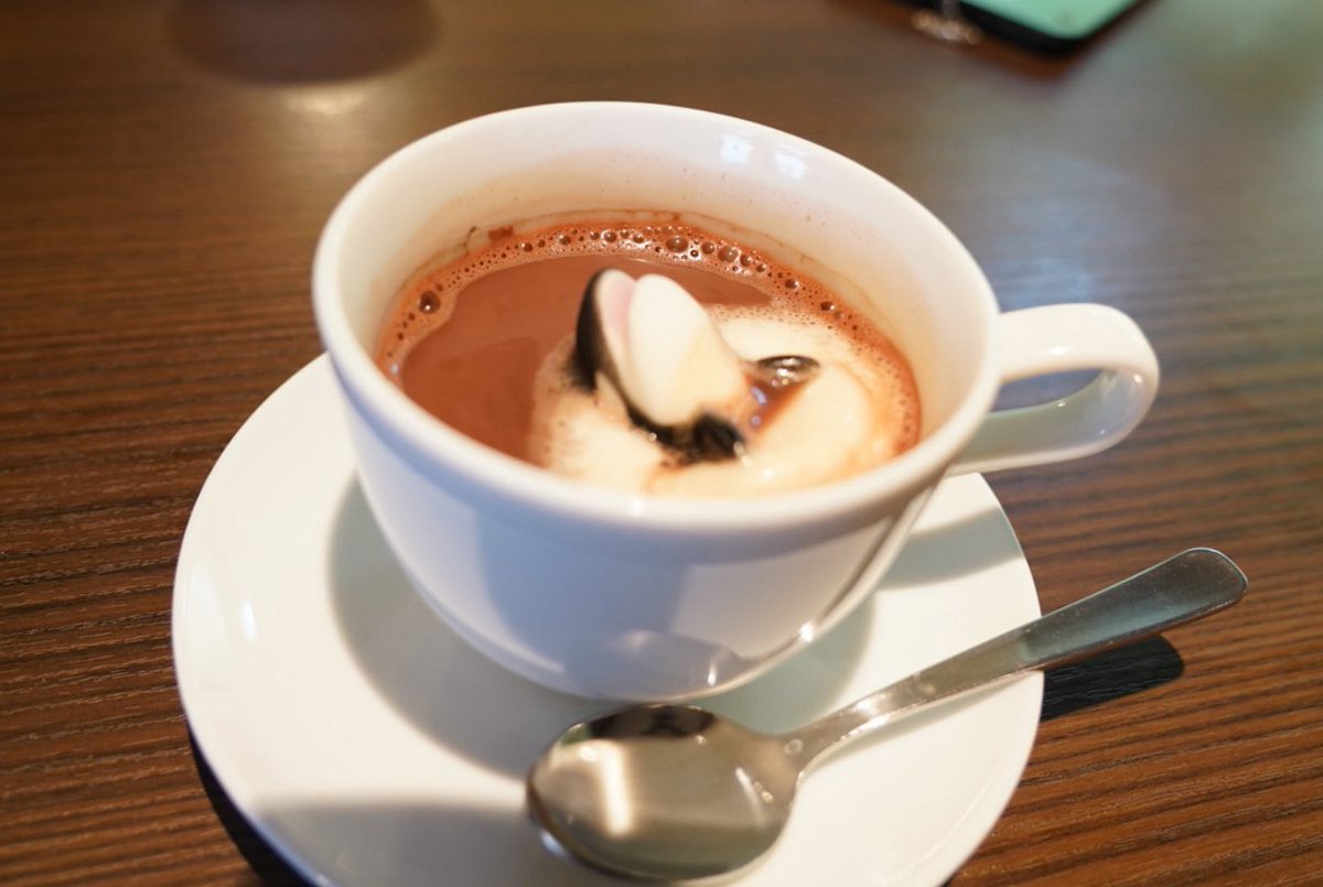 アリバダのスパイホップシャチココア頼んでみました！☕️ 甘くて