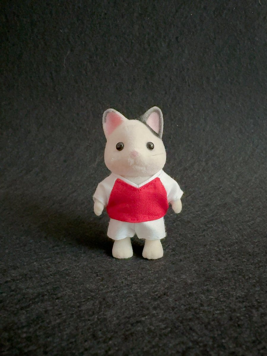 주문제작인 소년사이즈 유니폼세트입니다
오래 기다려 주셔서 감사합니다💕

#실바니안 #실바니안옷 #실바니안의상
#sylvanian #シルバニア #최애구현
#인형옷판매 #주문제작