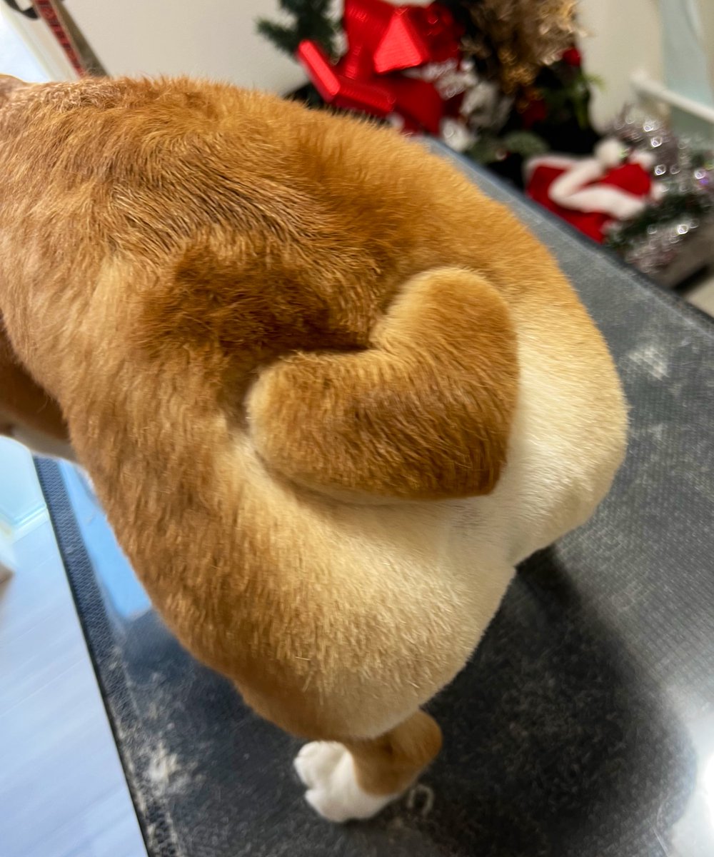 可愛いハート型付き食パンが出来上がりました🍞可愛すぎる……