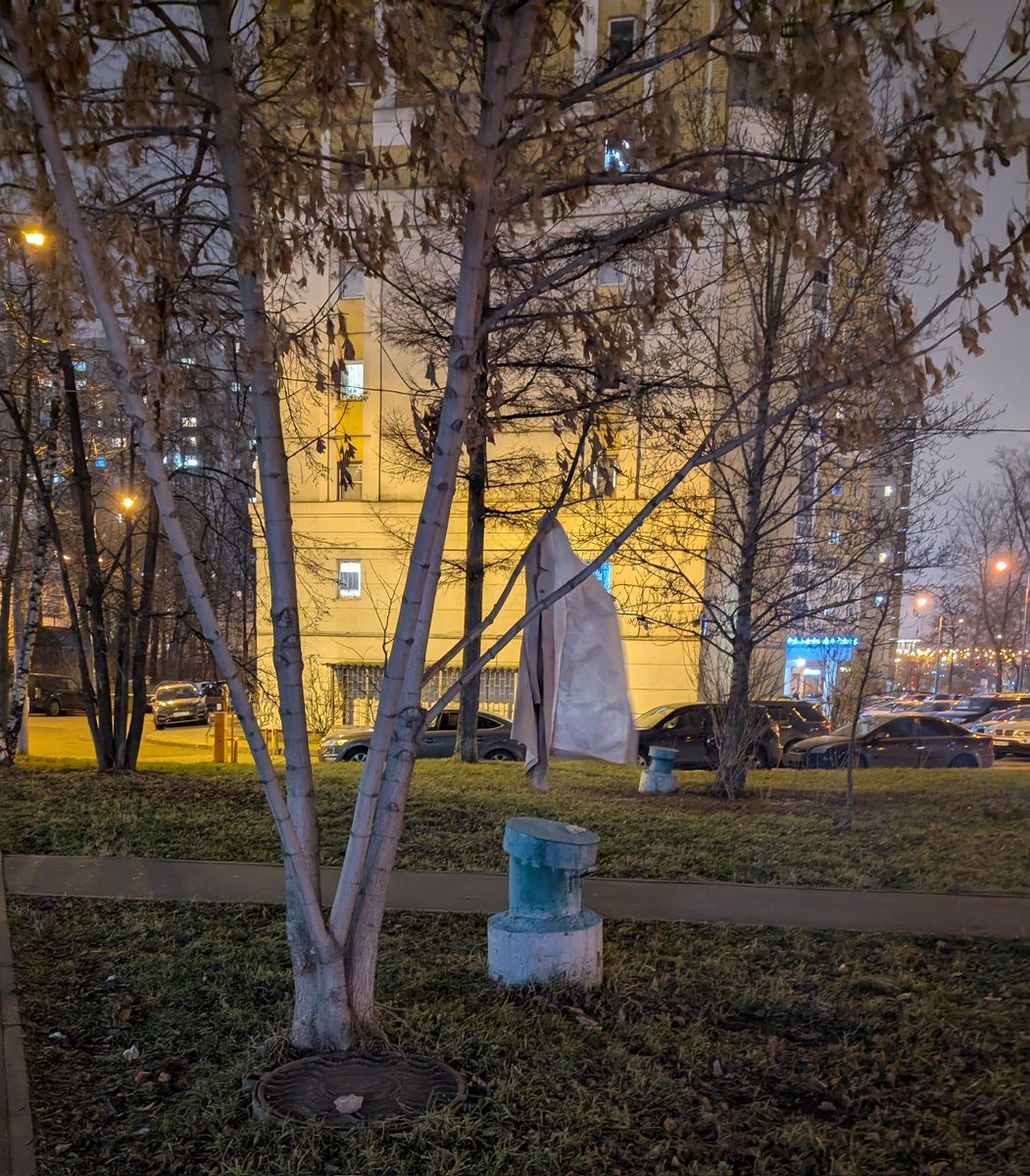 Annushka_Smaslom tweet media