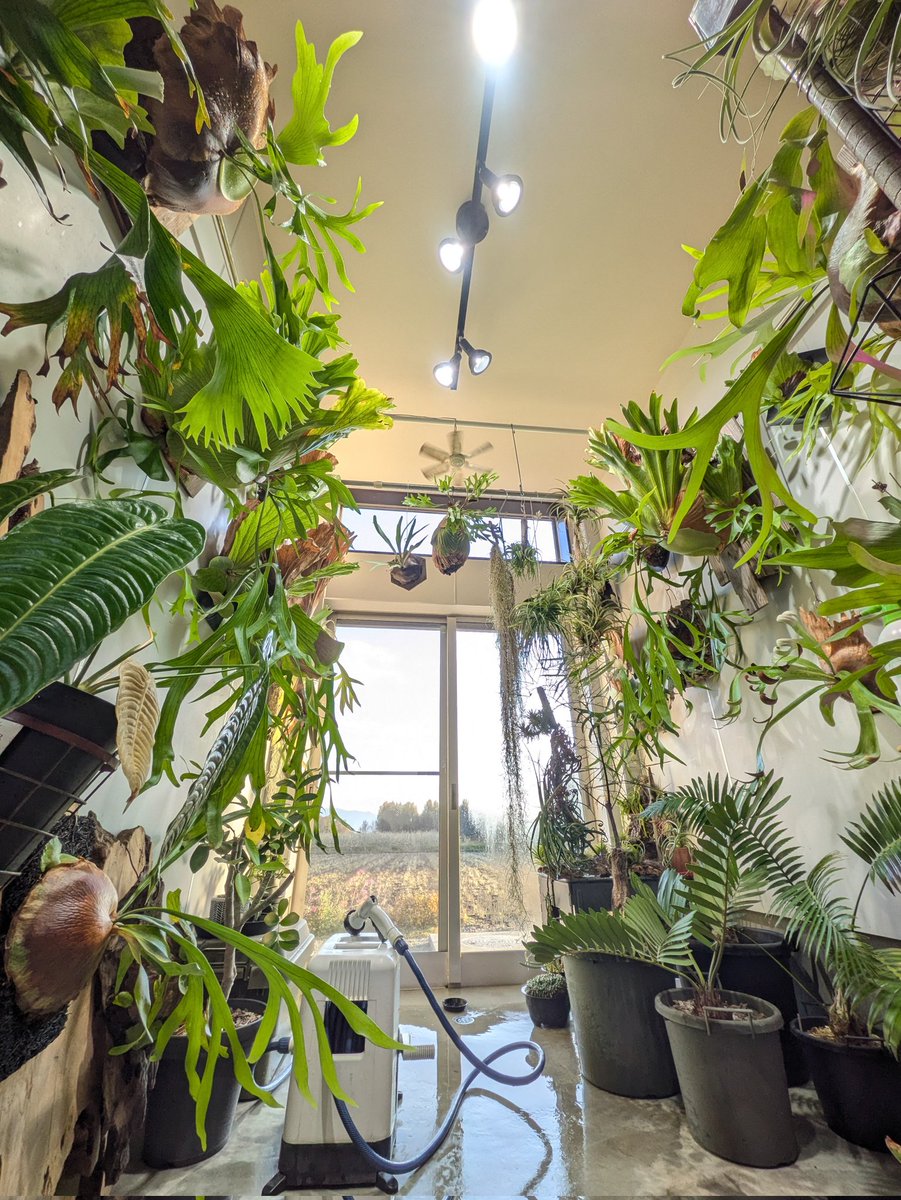 中で水かけるのは一苦労だ