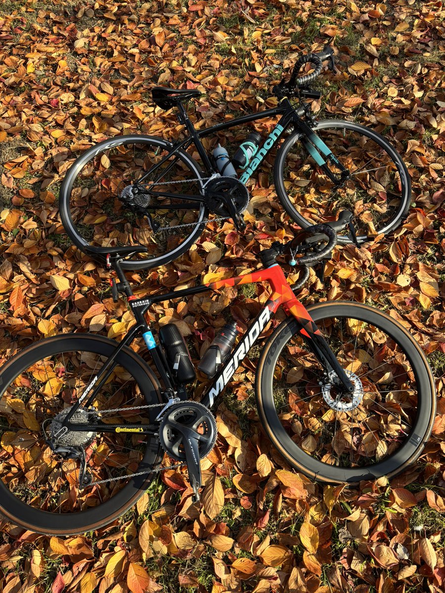 ぴのじき (@pinoko222_pnk) / Posts / X