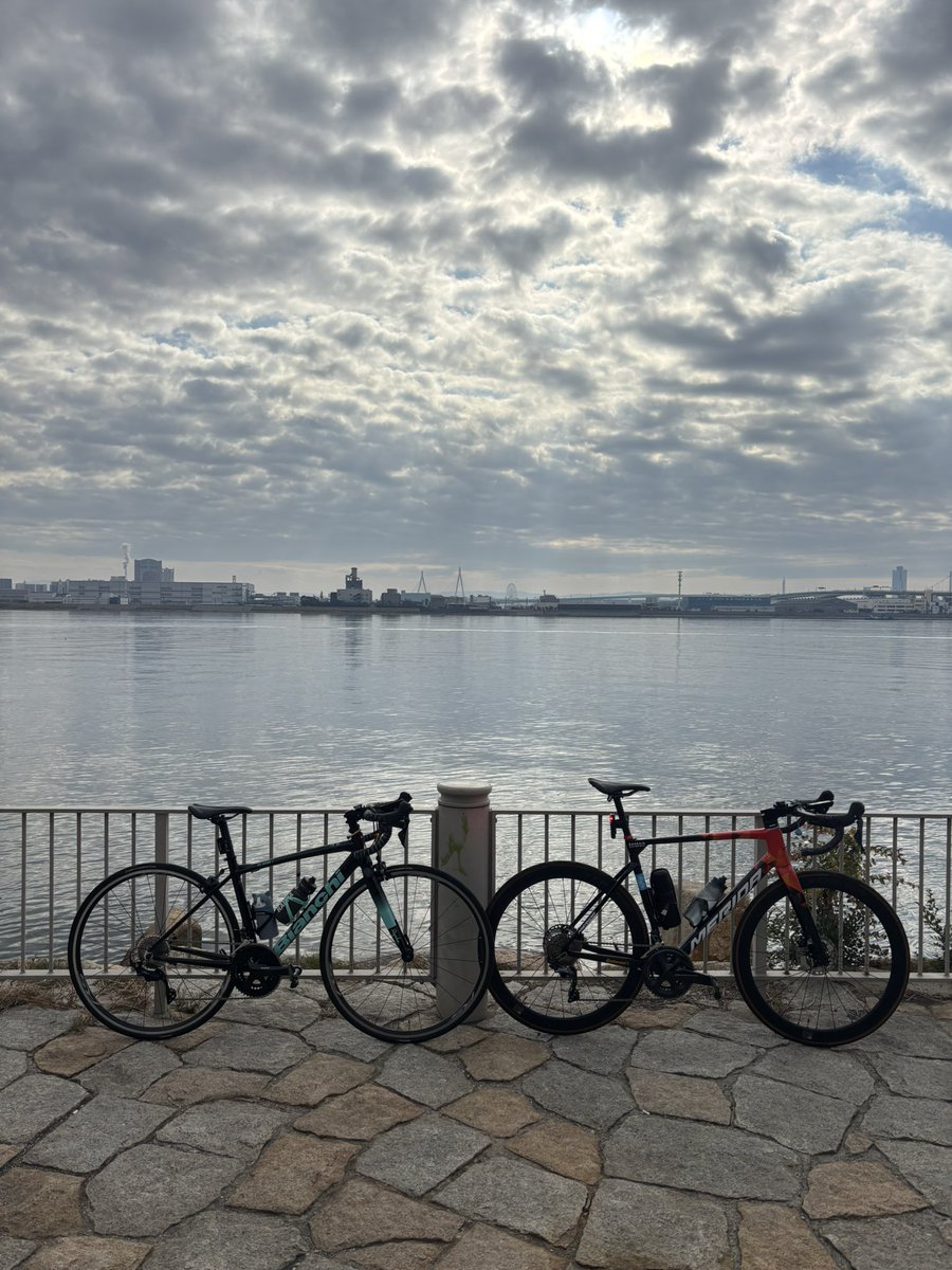 ぴのじき (@pinoko222_pnk) / Posts / X ぴのじき (@pinoko222_pnk) / Posts / X