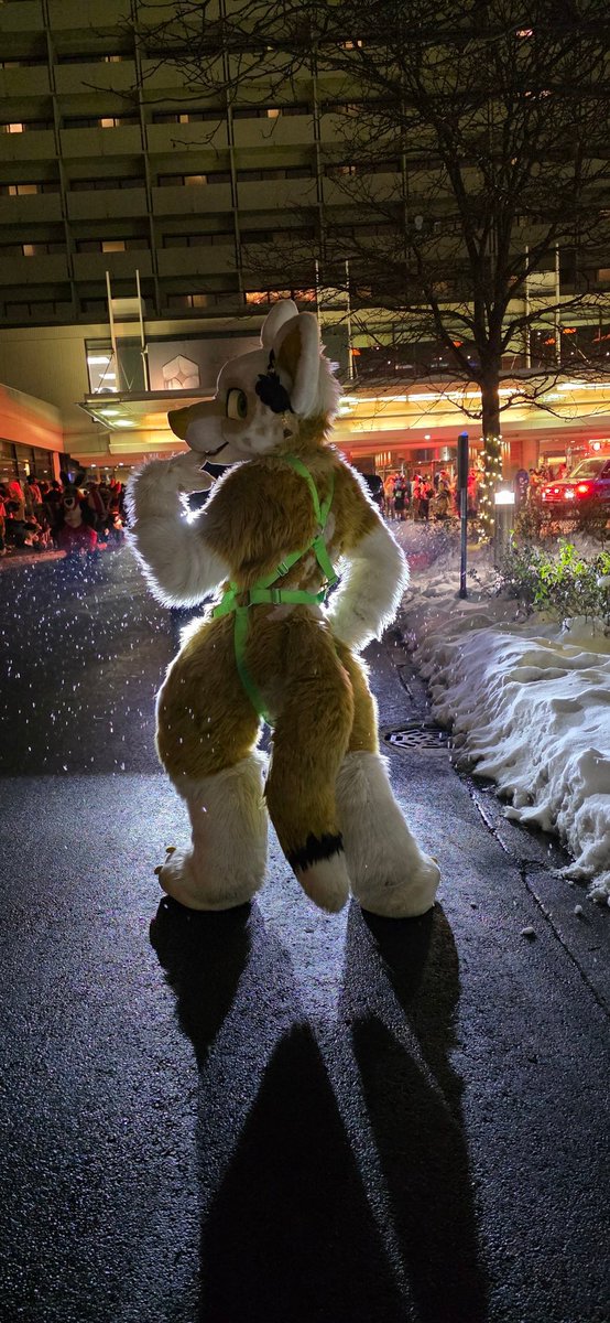 Don't catch a cold now ❄️