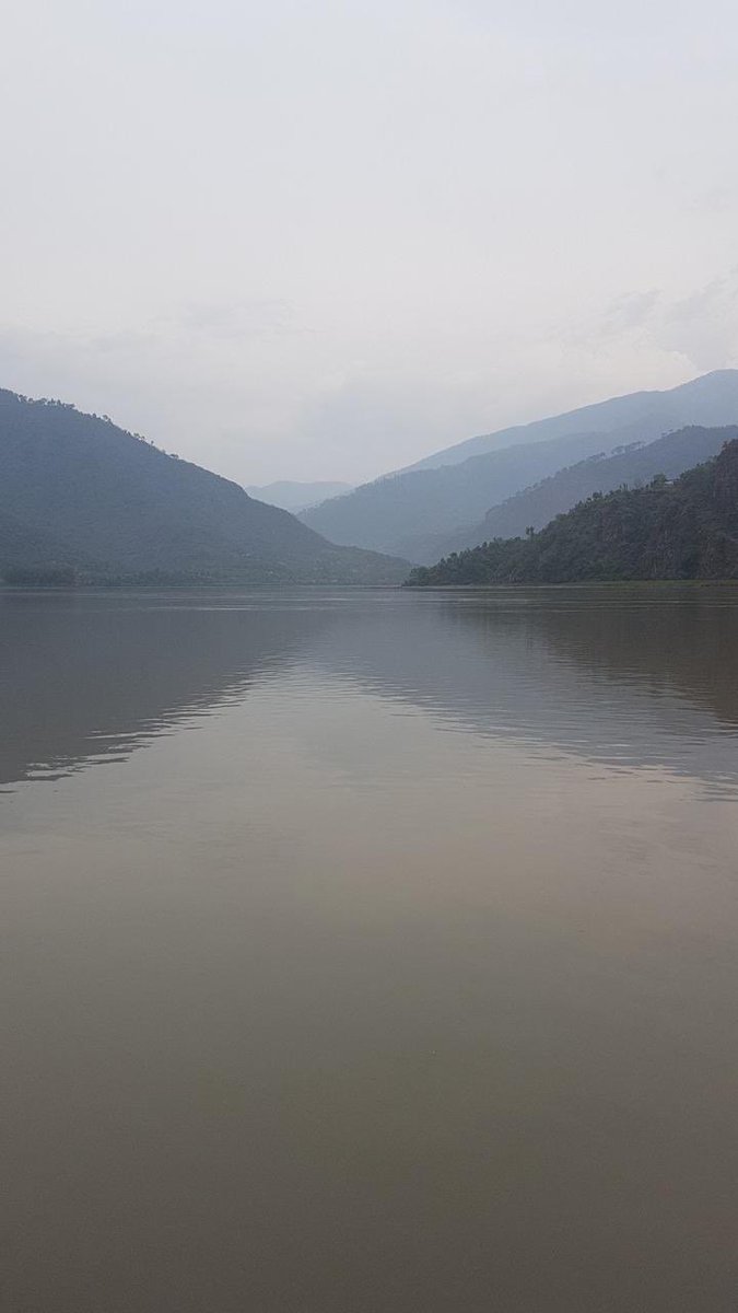 whitecornpepper's tweet image. Just a picture 📸