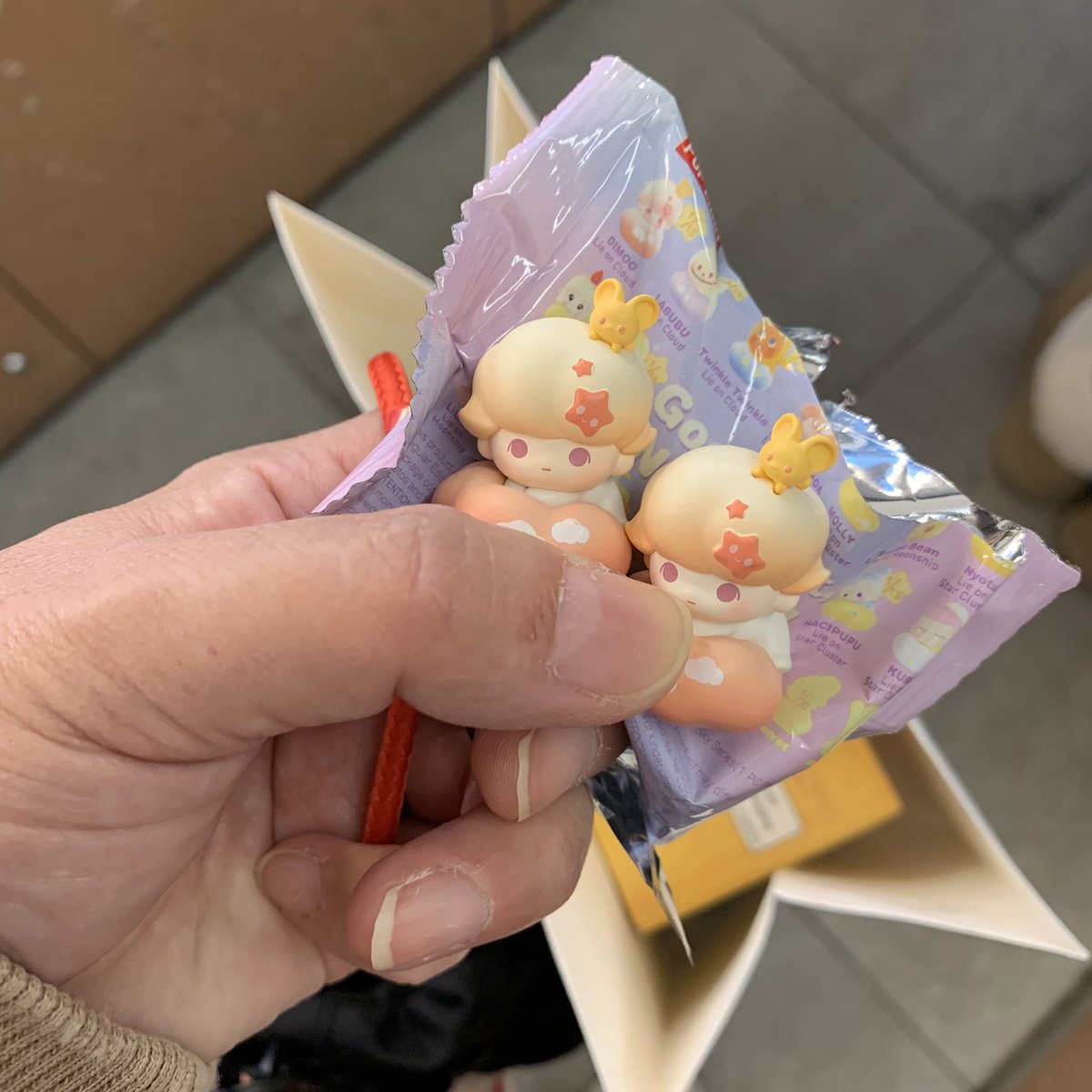 ちえぞー@リヴリーポプマmaymei (@chiezolivly1) / Posts / X