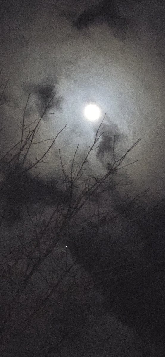 The night was lit.
#themoon #TheMoon #CanadaEh