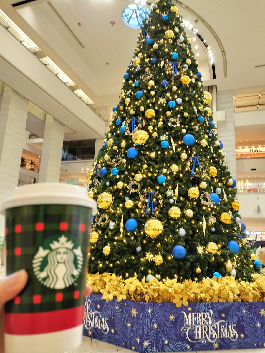 今年も作品撮りしてきました✨️
そしてこれが終わると今年もあと少しだなと感じます😌