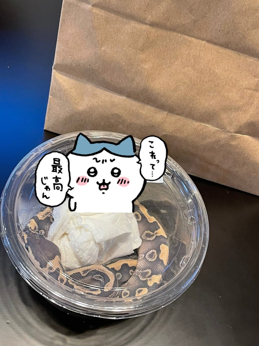 仲村屋 tweet media