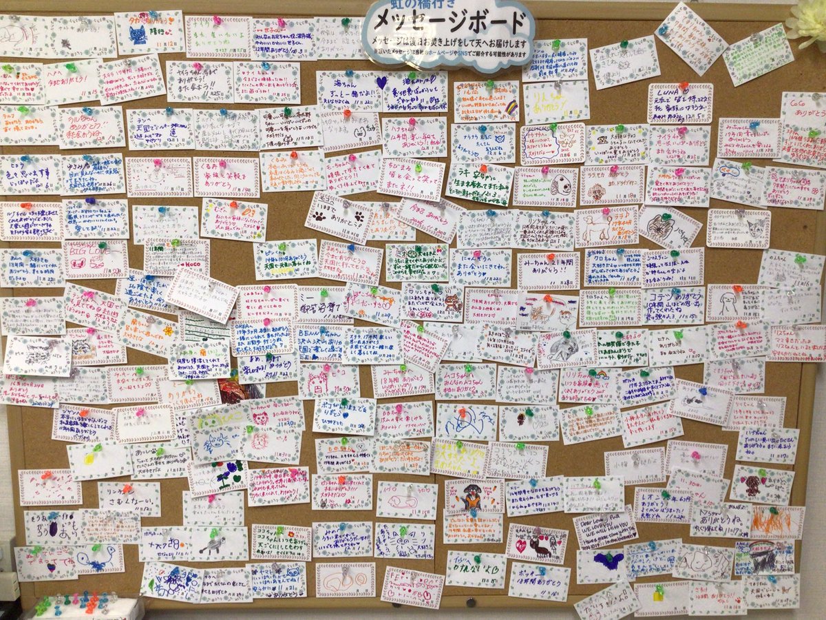 yokohamadoubutu's tweet photo. 11月23日(日)〜12月7日(日)

天国の虹の橋 行き
メッセージをいただきました https://t.co/6NG9ujfTa5