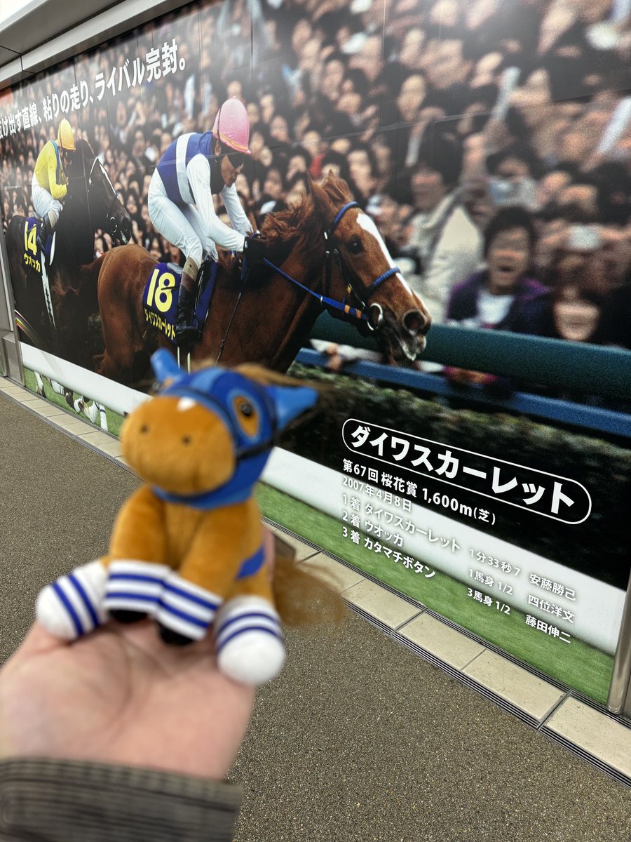 ダイワスカーレット、ダイワスカーレットだよ。 ダイワスカーレット