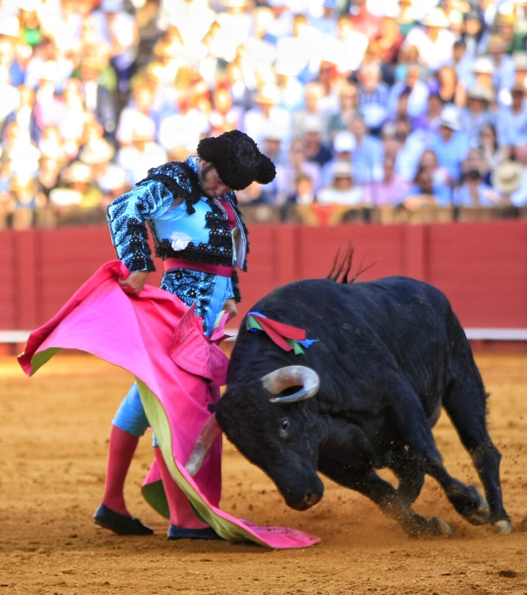 Santiago Ortega tweet media