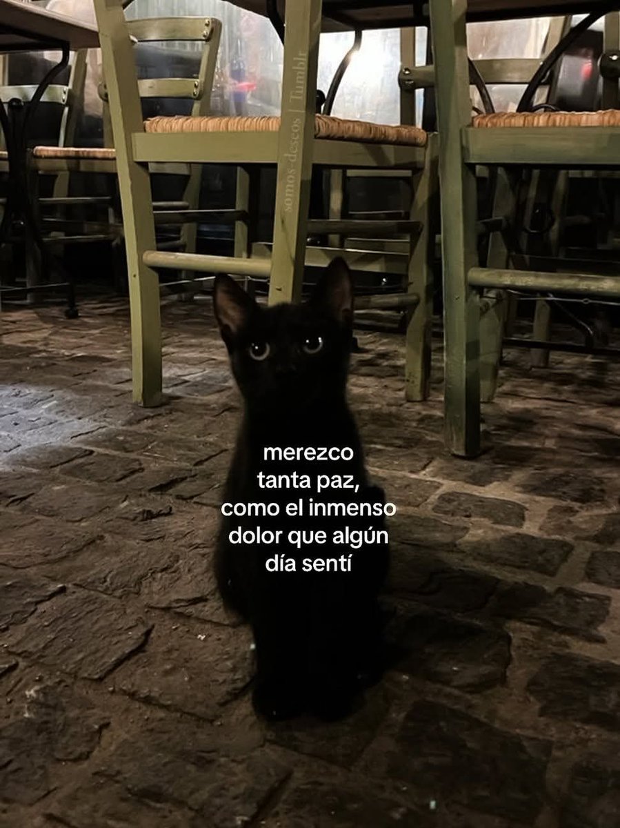 En Júpiter (@en_jupiter_) on Twitter photo 