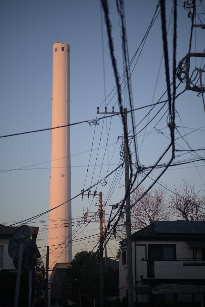 Nikon Zf
COLOR-HELIAR 75mm F2.5