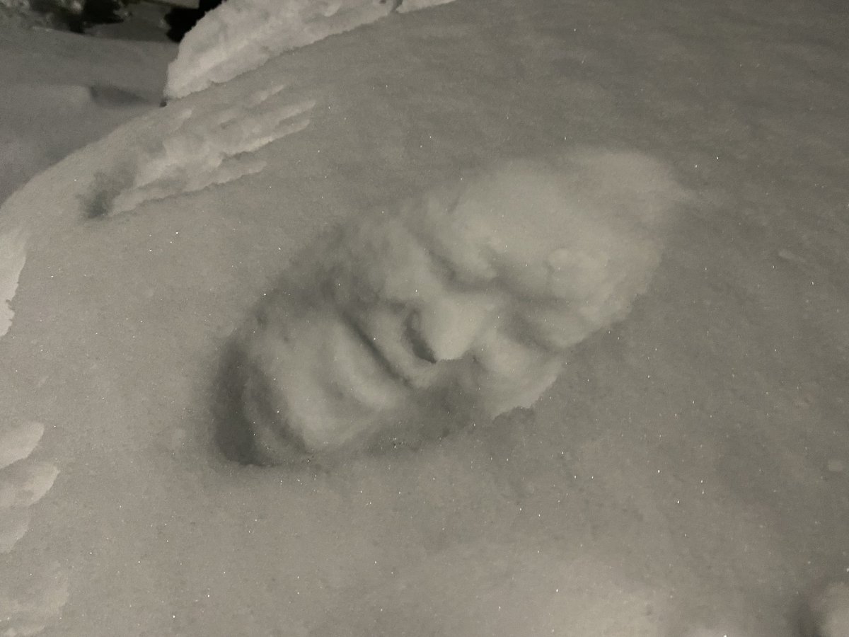 lkjshow's tweet photo. 万バズは初めてやな

上手くデスマスク作るコツは顔作って雪に押し付けた後10秒くらい動かないこと。
冷たくてすぐ離しちゃうと顔に雪が付いちゃって崩れちゃいます。
フワフワな積雪だと綺麗にできるよ。

メリット 怖がらせられる。
デメリット 顔が痛い。 https://t.co/13dHXJ1YZs