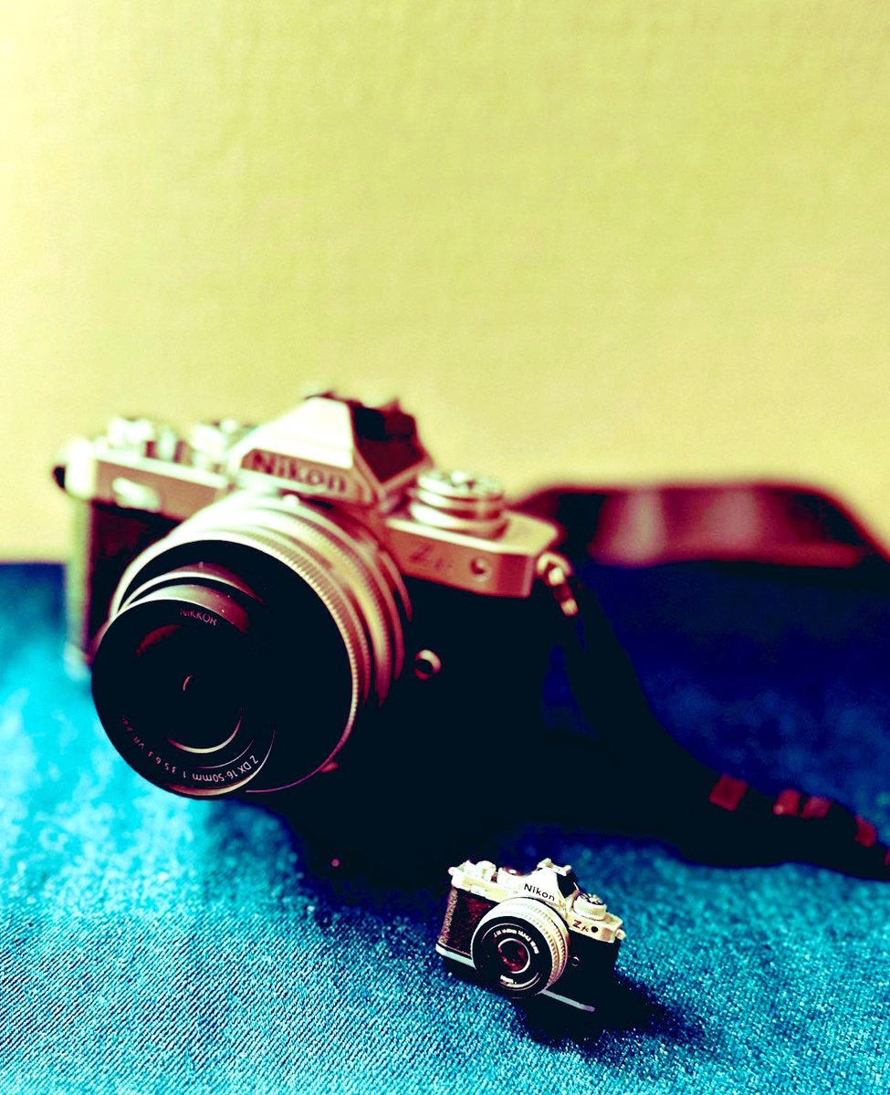 四季ちゃんのカメラはNikonのzfc カラーはカスタマイズしてるけど自分