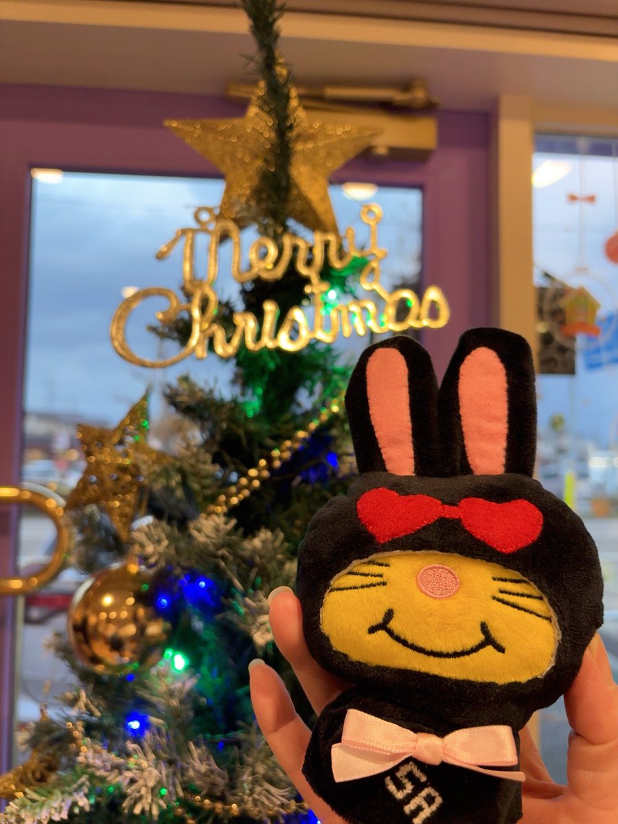 色違いUSA 作ってみた 🐰 #増田貴久 #ネコます