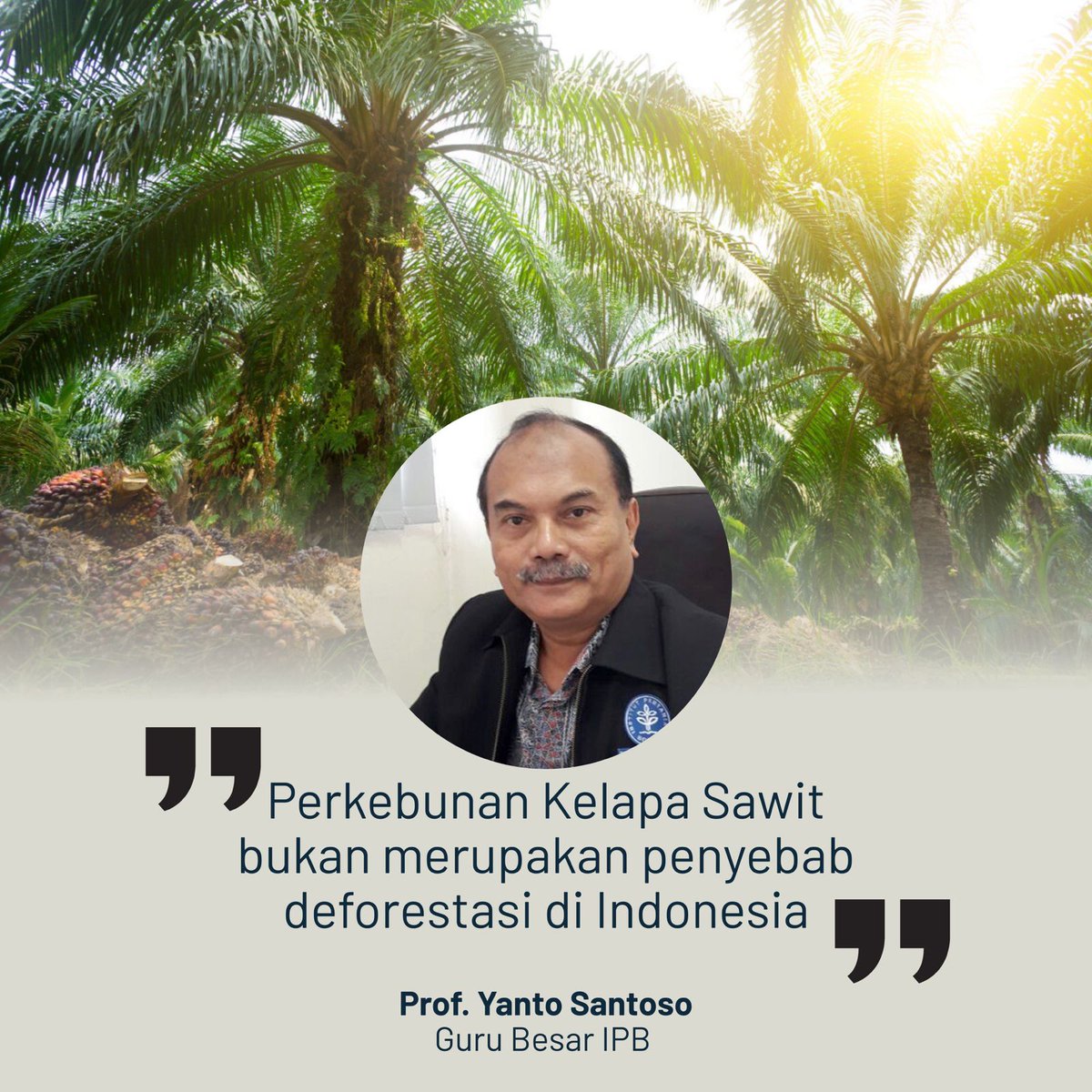 rifki_taruna's tweet image. SAWIT BUKAN PENYEBAB DEFORESTASI. Titik! Profesor IPB sudah bicara, bestie. Saatnya kita support sawit yang bertanggung jawab, bukan dihujat terus! #SawitKece #PakarBicara #Kekinian