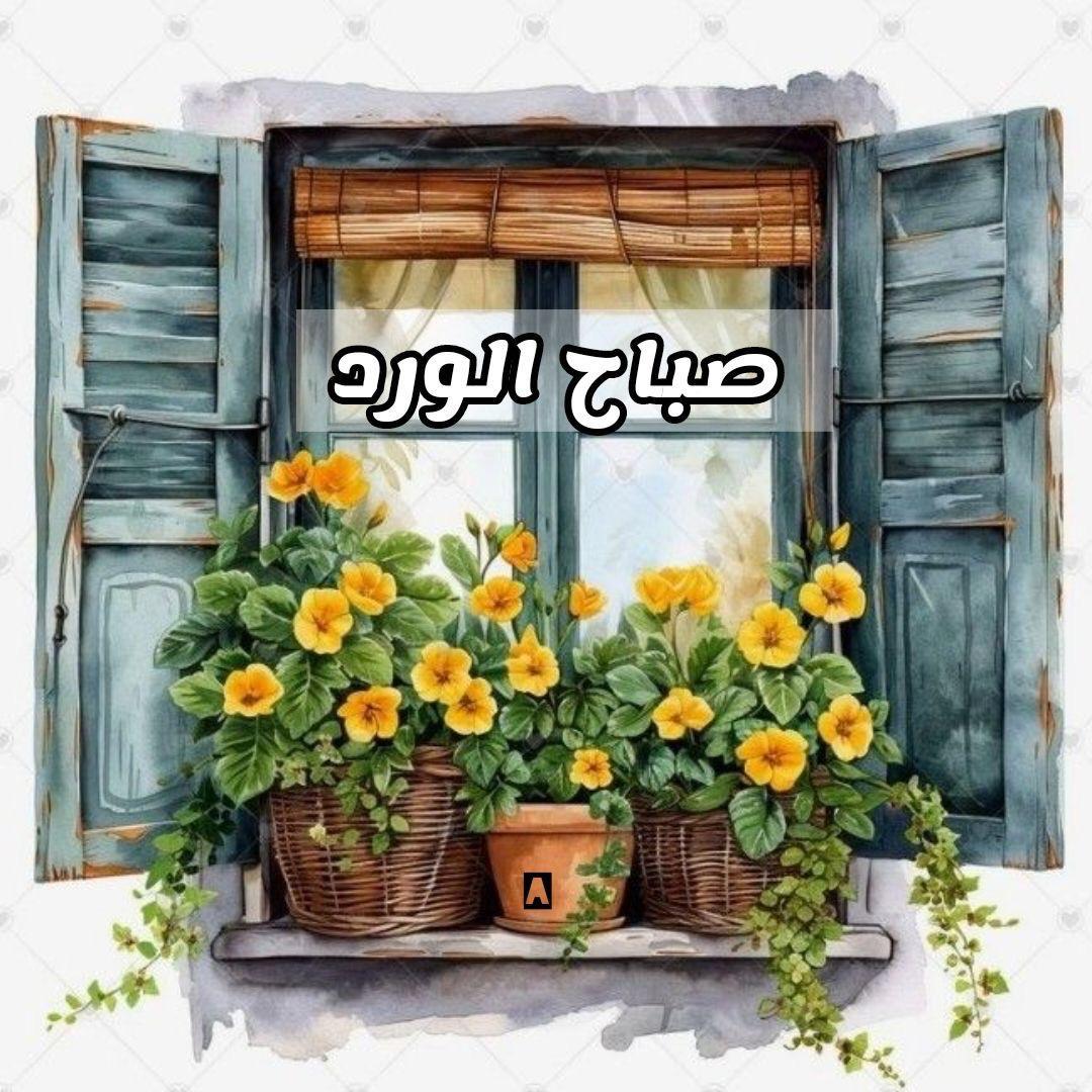 صباح الصحة والسعادة 
والأمل بالله بأن القادم اجمل 
وكل الأشرار زائلون والخير قادم 
لك يابلادي  ولأبنائك الطبين منهم 
#صباح_المحبة_والسلام_لكل_محيبن_السلام